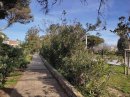 Leucate